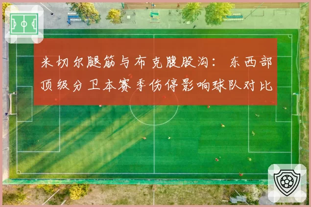 米切尔腿筋与布克腹股沟：东西部顶级分卫本赛季伤停影响球队对比