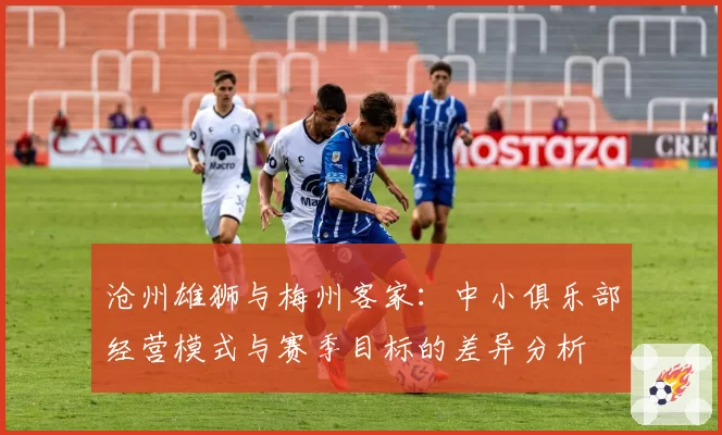 沧州雄狮与梅州客家:中小俱乐部经营模式与赛季目标的差异分析