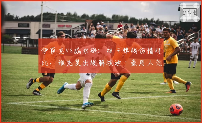 伊萨克vs威尔逊：纽卡锋线伤情对比，谁先复出缓解埃迪·豪用人荒？